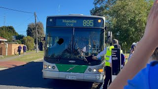 [Busy Day] TransBunbury Route No. 895 (TP1493) Kelly Park to Hands Oval