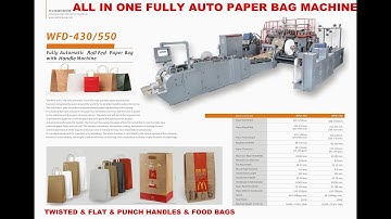 Fully Automatic Twisted & Flat Belt Handle Paper Bag Machine include D punch Handle