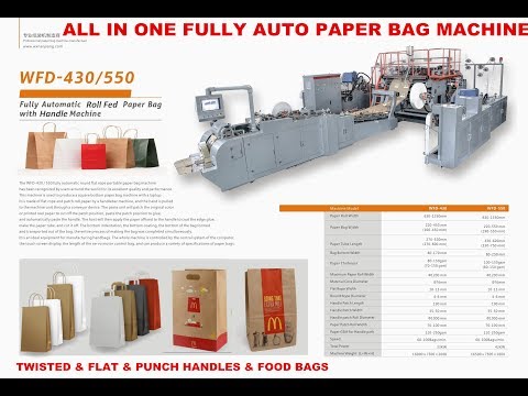 Fully Automatic Twisted & Flat Belt Handle Paper Bag Machine include D punch Handle