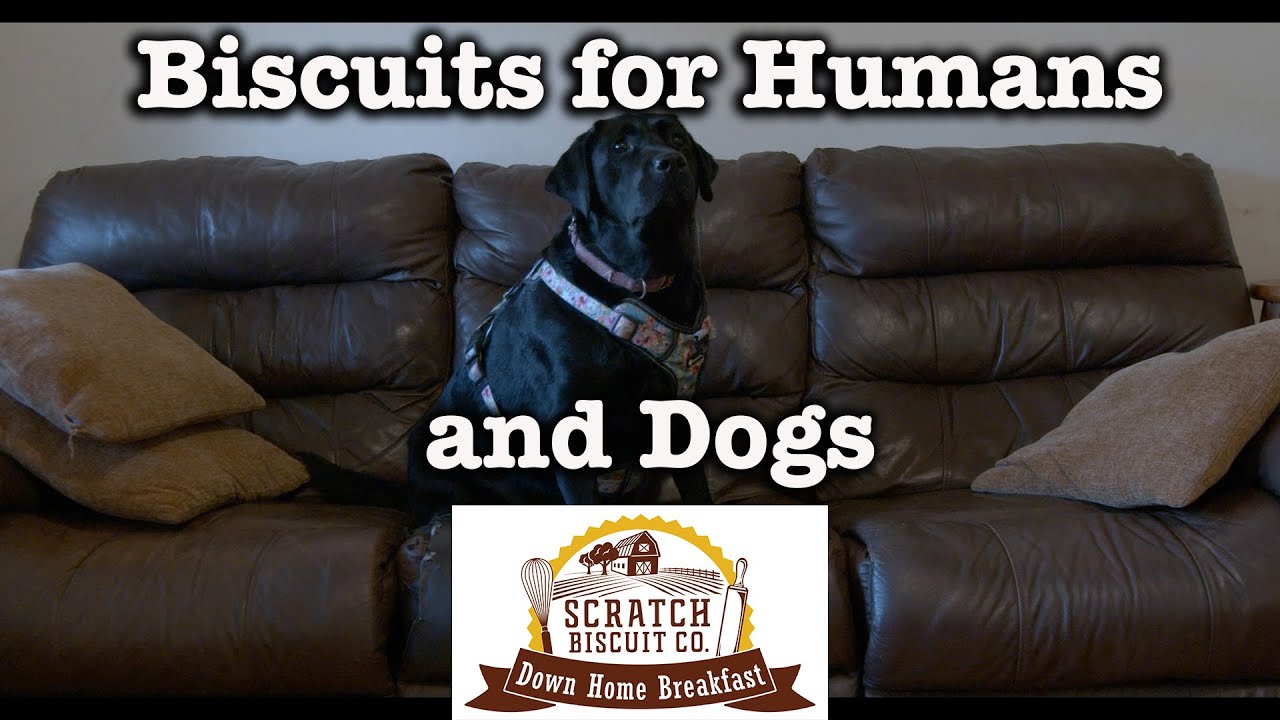 Scratch makes biscuits for humans AND dogs
