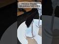 Samsung S26 Ultra: The World’s First Privacy Screen on a Smartphone?! 😱