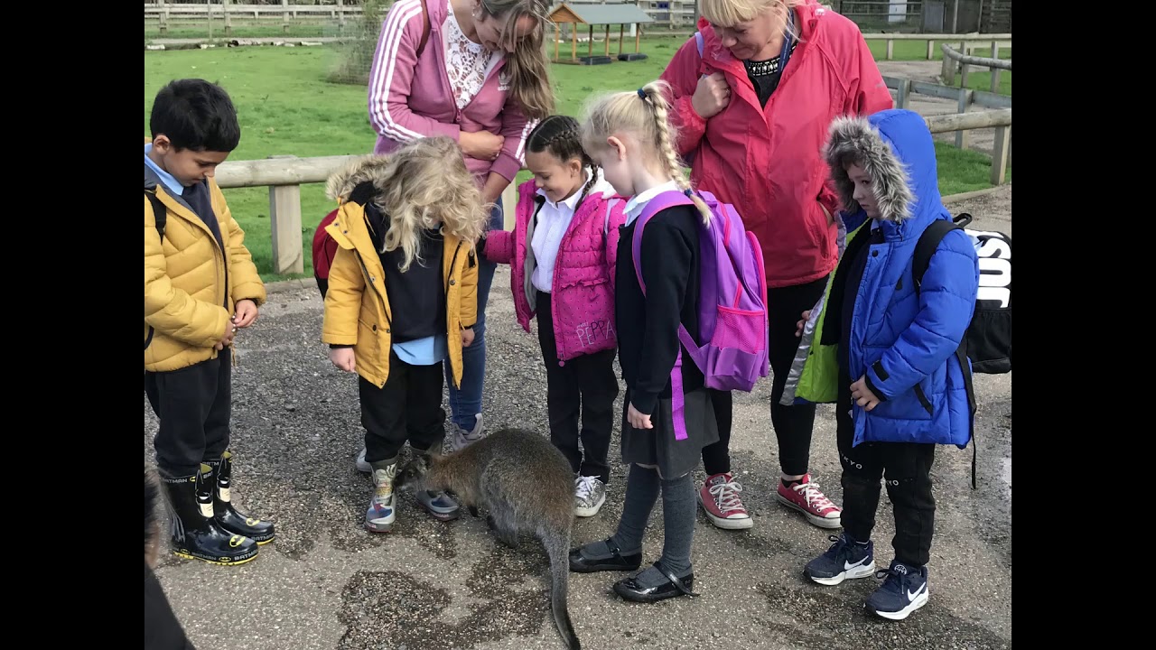 Yorkshire Wildlife Park Finished Video - YouTube