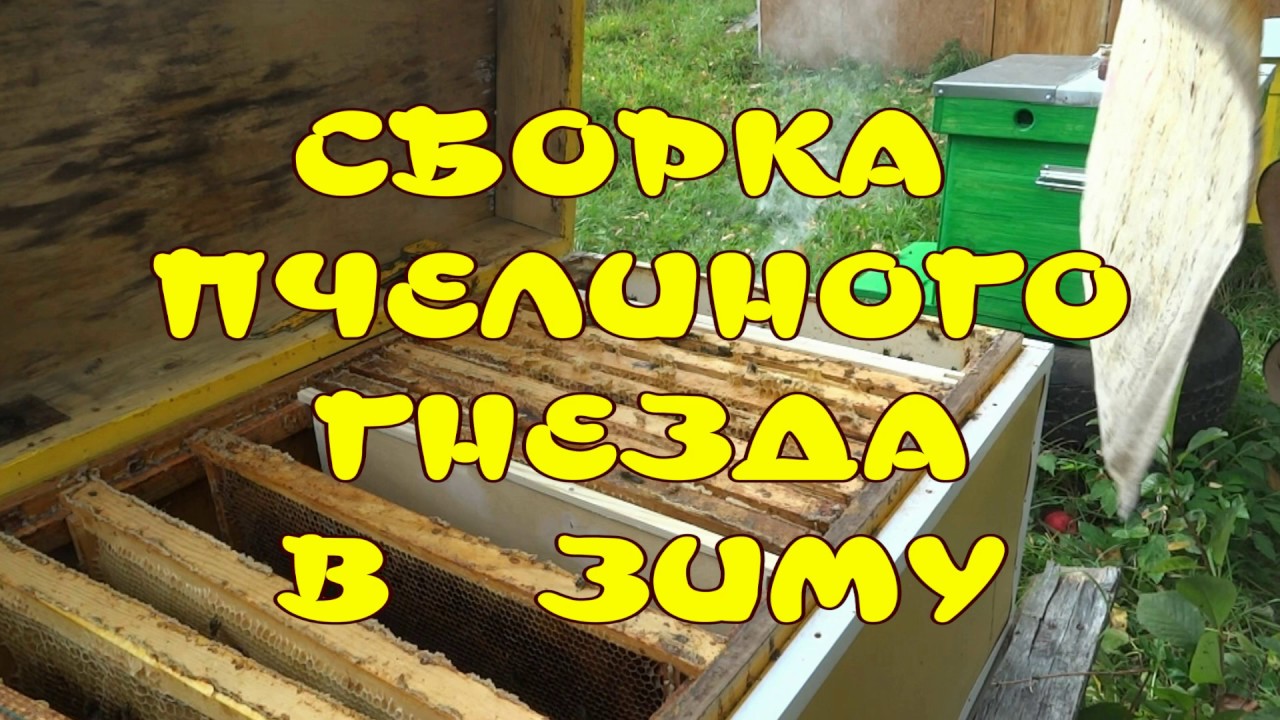 Пчелы на машине