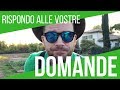 QUANTO Ãˆ COSTATO IL MIO TERRENO? RISPONDO ALLE VOSTRE DOMANDE | ORTO E GIARDINAGGIO
