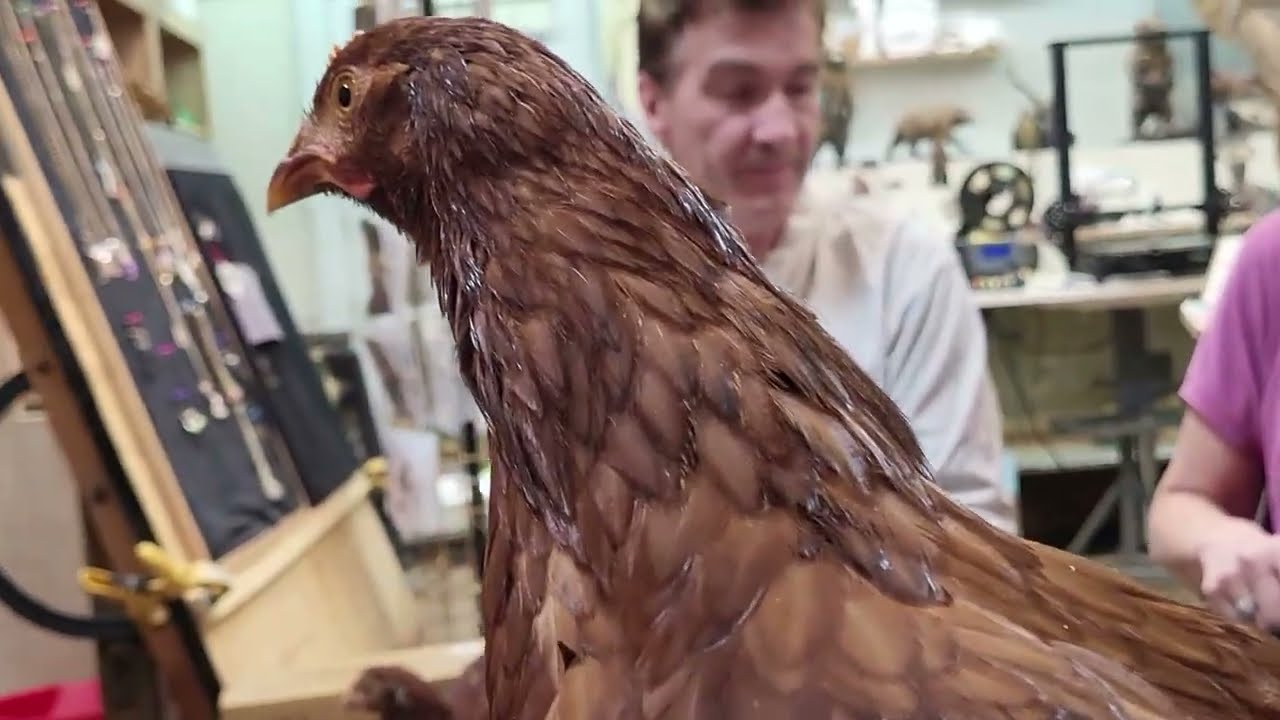 Kalispell Art Foundry Interview