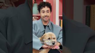 Ramy Youssef is an Iconic Guest | Part 6 #ziwe #ramyyoussef #comedy #funny #comedyshorts #interview