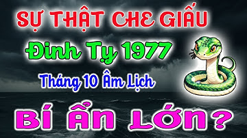 Sự Thật Bị Che Giấu Về Tuổi Đinh Tỵ 1977 Tháng 10 Âm Lịch 2025 - Bí Ẩn Lớn Nhất Đời Người Lộ Diện.