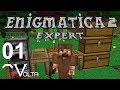 Enigmatica2 [E01] - Дорогу осилит идущий.