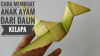 Cara membuat ketupat anak ayam dari daun kelapa