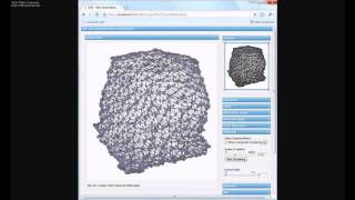 WiGis: Web-based Graph Visualization