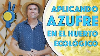 Aplicando Azufre en el huerto ecológico