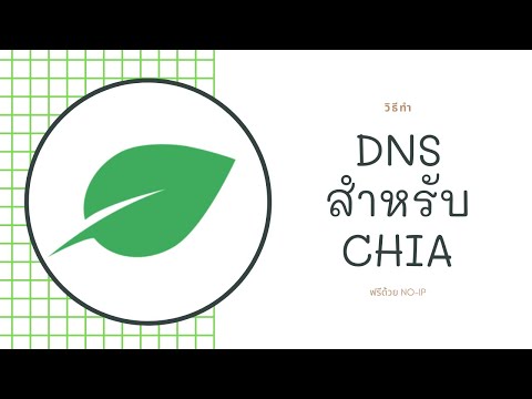 วิธีทำ DNS NO-IP Free บน Windows #CHIA