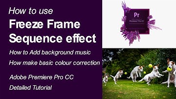 How to Use Frame Hold Options | Freeze Frame Sequence Effect - Premiere Pro Tutorial