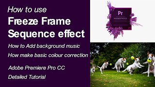 How to Use Frame Hold Options | Freeze Frame Sequence Effect - Premiere Pro Tutorial