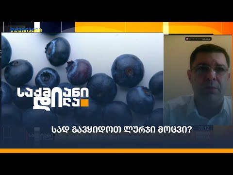 სად გავყიდოთ ლურჯი მოცვი?