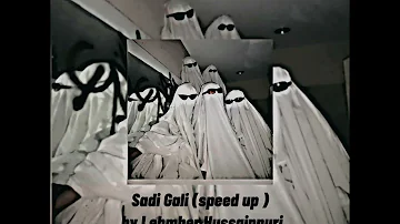 Sadi Gali speed up version -- Lehmber Hussainpuri