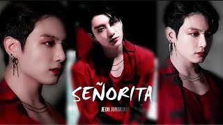 jeon jungkook - Señorita [FMV] Resimi