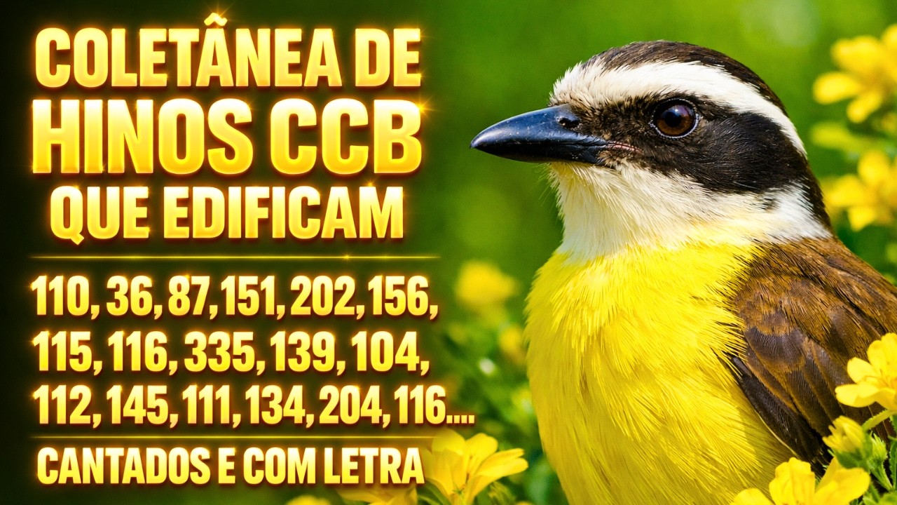 🌿 Coletânea de Hinos CCB – Louvores que Consolam e Edificam 🙏🎶