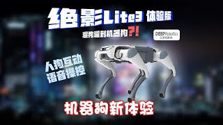 云深处科技机器狗】一只价格接近五位数的机器狗到底能够带来什么体验