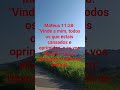 Confia somente Nele