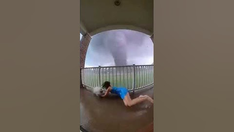 ❤️‍🩹She Risked Her Life to Save Her Cat.. Then the Tornado Hit🌪#poorcat #tornado#cat #foryou #kitten