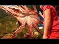 A Day After A Family Saved This Beached Octopus, It Returned And Gave Them An Astonishing Thank You