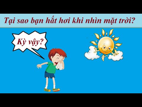 Video: 10 Thú vật đáng giá tiền nhiều hơn hầu hết mọi người