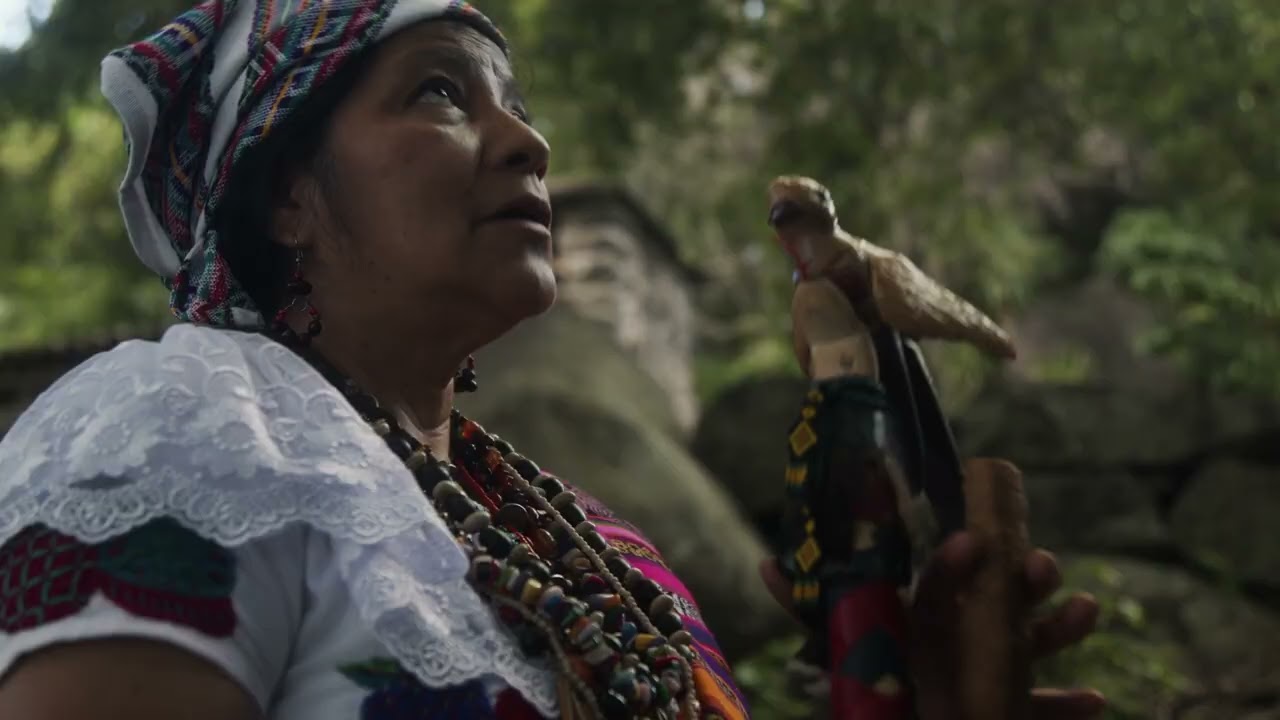 Joe Dworniak - A Thoughtfull Storm (Official Video)