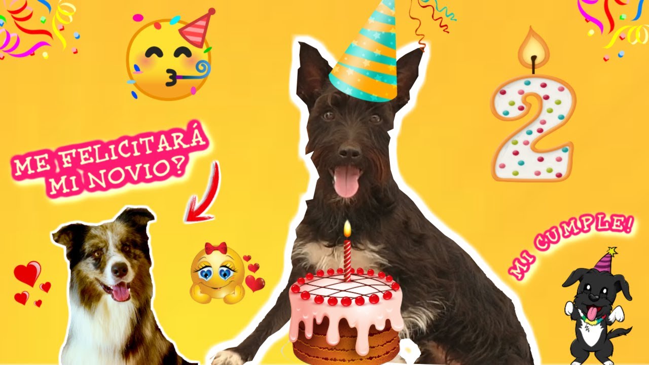 ¡MI FIESTA DE CUMPLEAÑOS! 🎉 Me felicitan mis amigos YOUTUBERS! Y muestro VUESTROS DIBUJOS! Lana