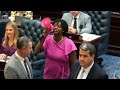 Democrat Florida Rep Angie Nixon has unhinged meltdown over congressional map ruling