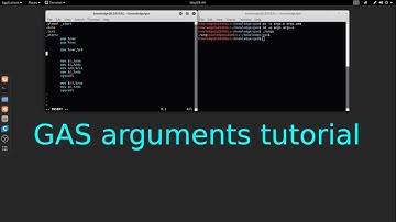 GAS x64 GNU Assembler arguments tutorial in Linux