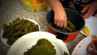 Koupepia (Stuffed Grape Leaves) (Cypriot) recipe screenshot 3