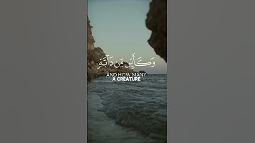 الَّذِينَ صَبَرُوا وَعَلَىٰ رَبِّهِمْ يَتَوَكَّلُونَ(59)  سورة العنكبوت بصوت عبد الرحمن مسعد