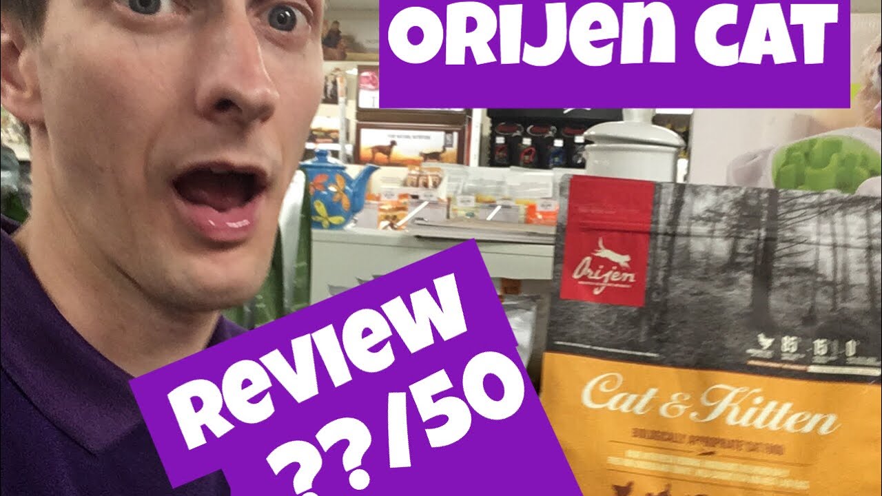 Orijen Cat & Kitten food review out of 50 - YouTube