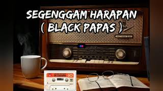 Segenggam Harapan - Black Papas (lirik)