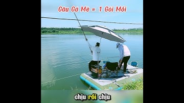 Câu Hơn 1 Tạ Cá Mè Tại Hồ Tự Nhiên Ninh Bình #fishing