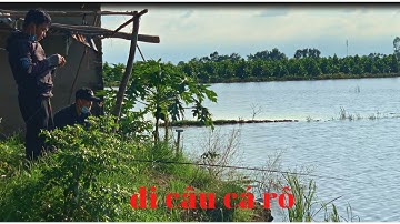 ĐI CÂU CÁ RÔ ĐỒNG NHE CẢ NHÀ  #caucaro #khanhfishing