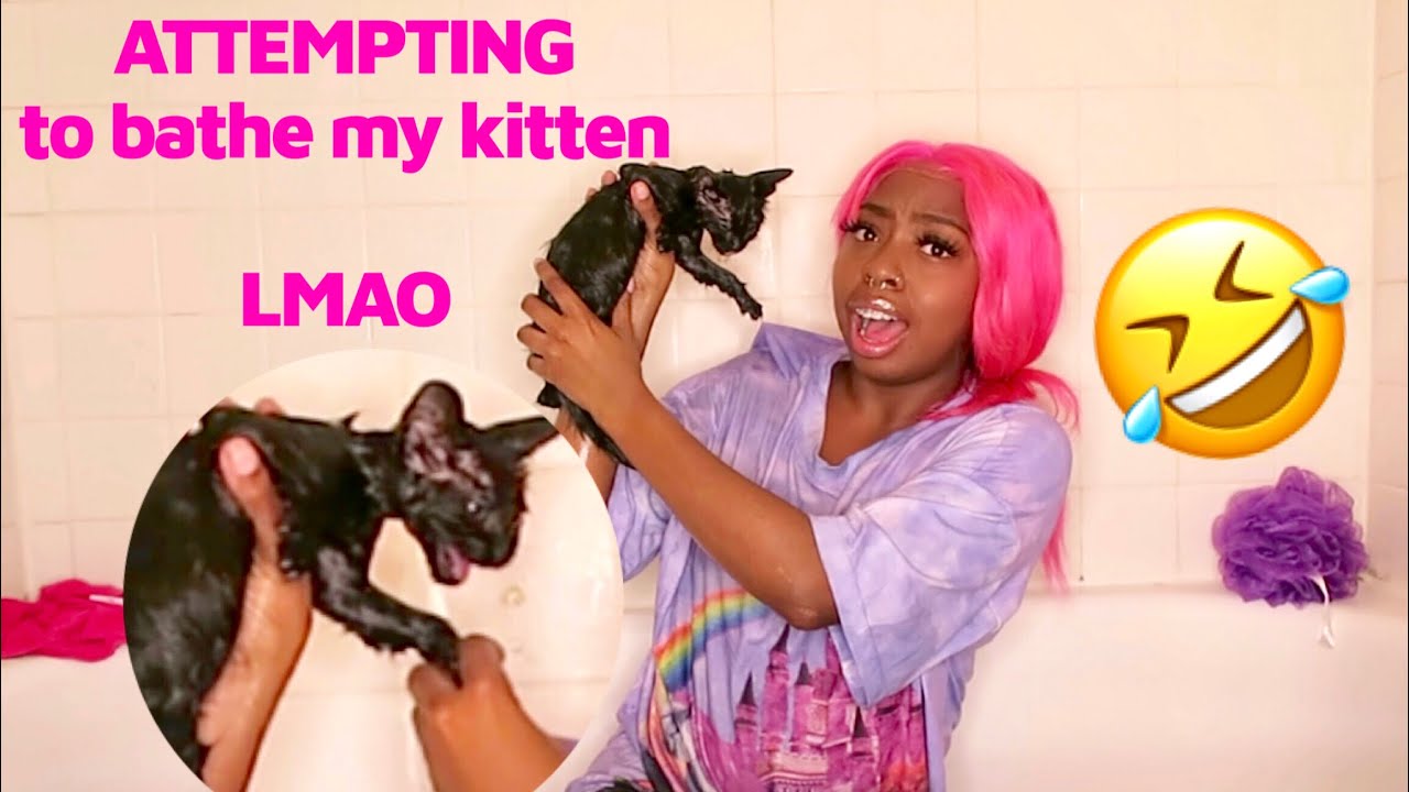 Bathing my cat for the first time LMAO