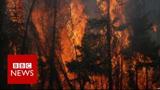 Wall of fire consumes Canadian forest - BBC News