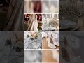 theme and dress ideas for walima #fashion #dress #music #weddingdress #indianfashionbrand
