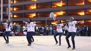 MSU NPHC Fall 2011 Yard Show Alpha Kappa Alpha