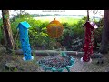Bird Feeder LIVE Cam 🐦- Massachusetts