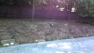 T-Rex 450 Pro V2 Beastx Test Flight