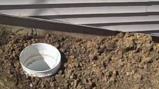 Dog Septic System