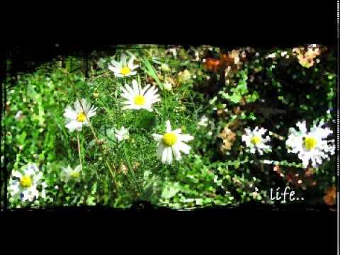 Biru -Dian PP featuring Syahrani (with lyric)-