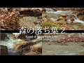 森の落ち葉と優しいチェロ、ヴァイオリン、ビオラ2　信州松川村（自然映像とBGM/心身浄化・癒し）※修正してUPしなおしました。