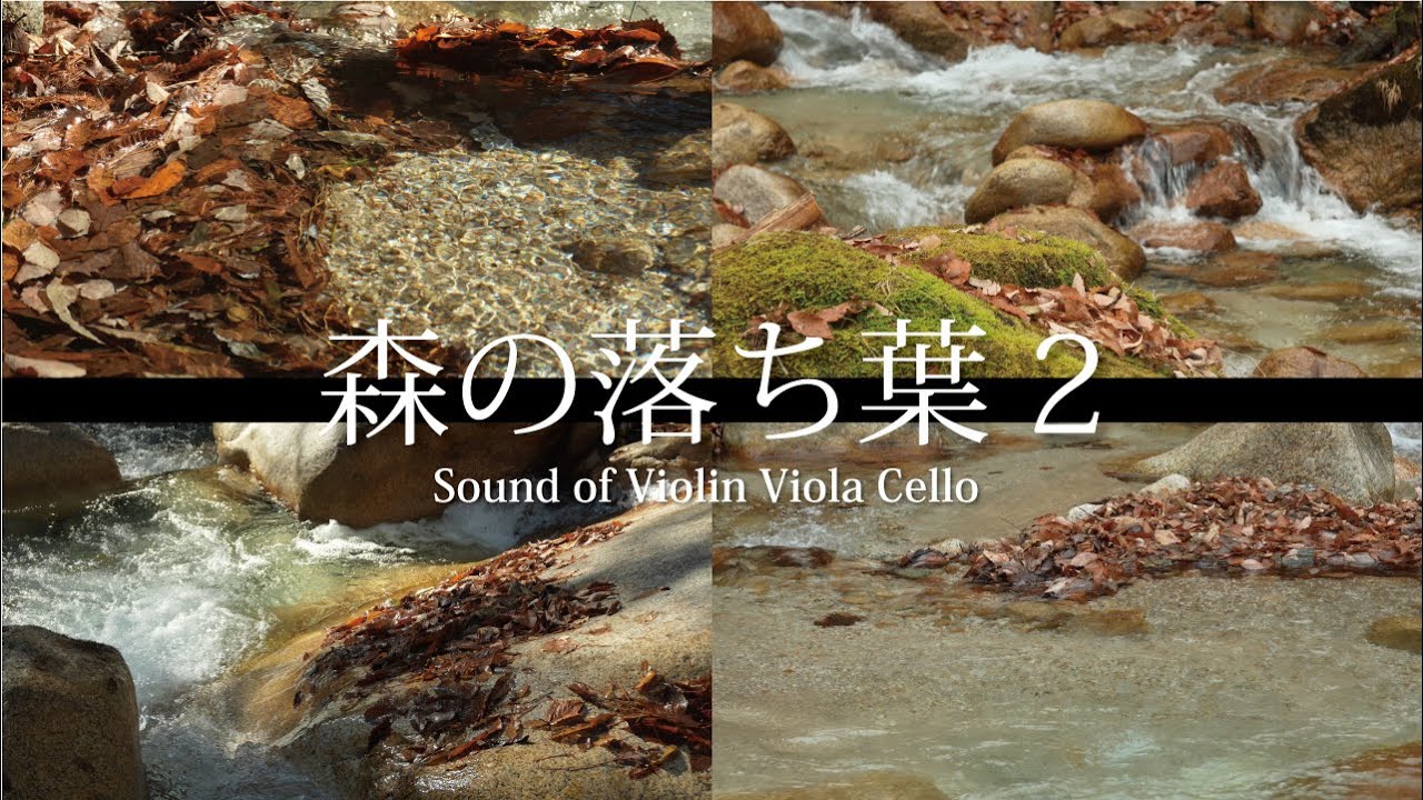 Опавшие листья леса и нежные звуки виолончели, скрипки и альта - Япония