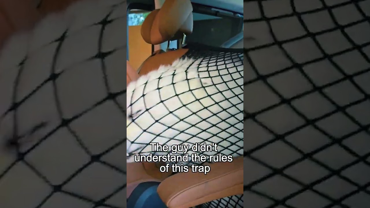 When you are not allowed in the front seat I Bro has a nice smile