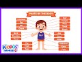 Kiddos World TV Body Parts Quiz