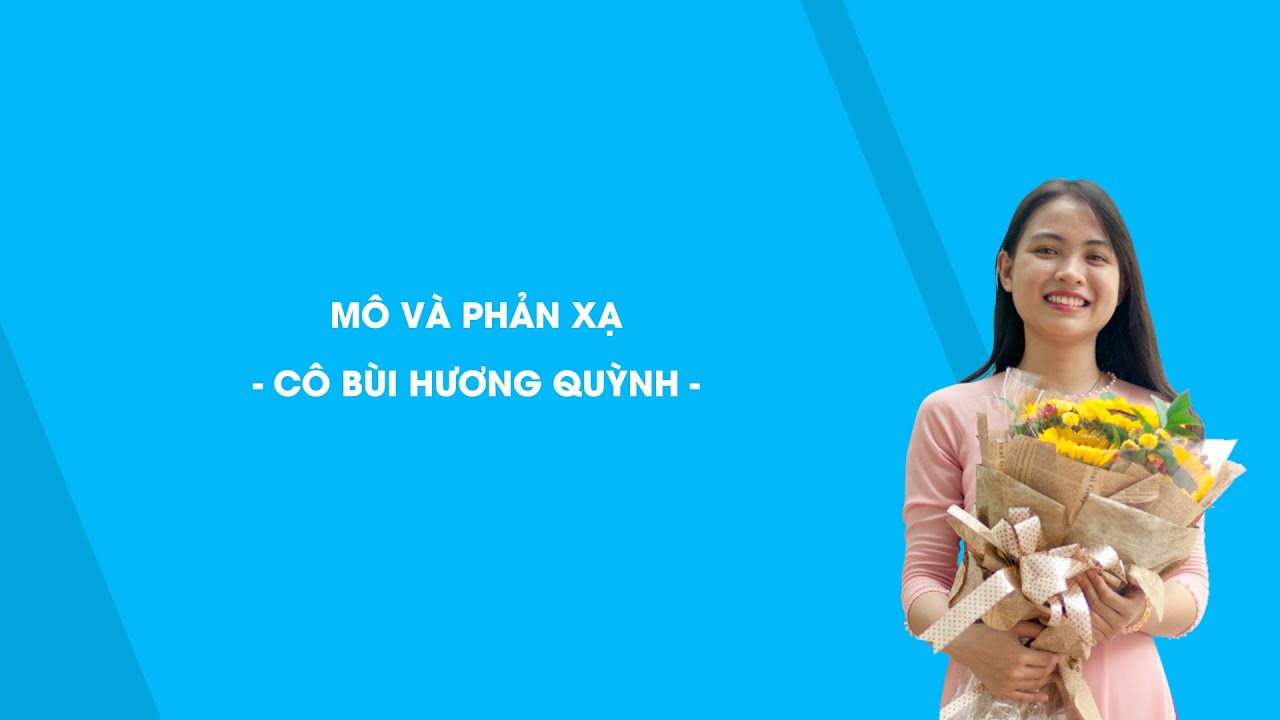 Giáo án điện tử sinh học 8 | Mô và phản xạ – Sinh học 8 – Cô Bùi Hương Quỳnh – HOCMAI